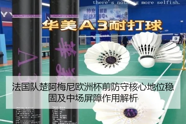 法国队楚阿梅尼欧洲杯前防守核心地位稳固及中场屏障作用解析
