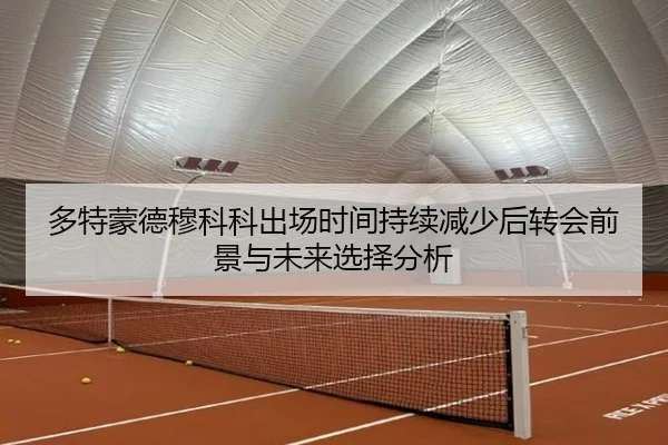多特蒙德穆科科出场时间持续减少后转会前景与未来选择分析