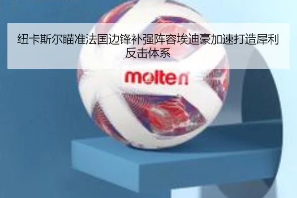 纽卡斯尔瞄准法国边锋补强阵容埃迪豪加速打造犀利反击体系